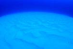wwwcvil001.jpg